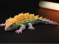 Armadillo Lizard