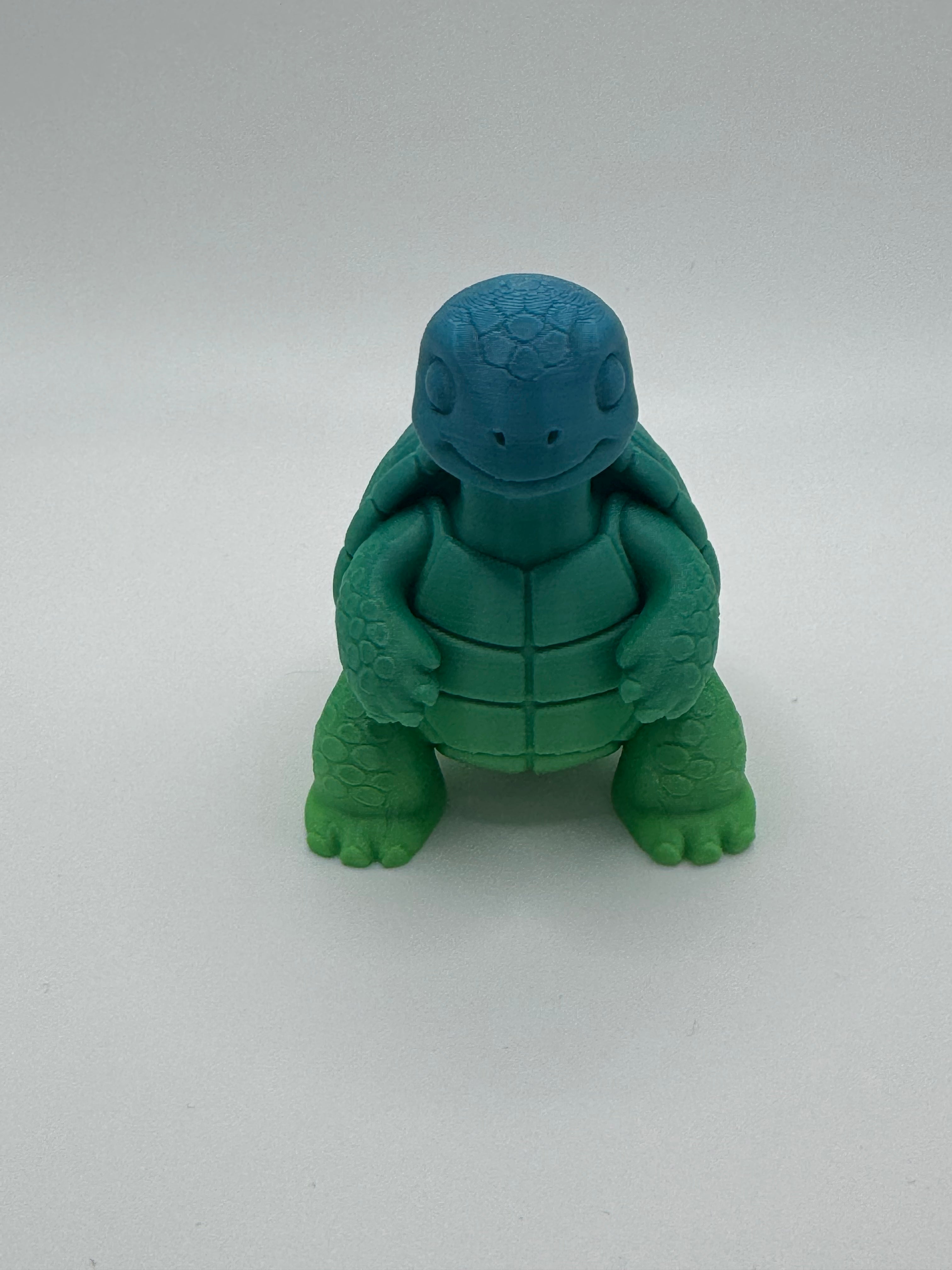 Turtle Decoration