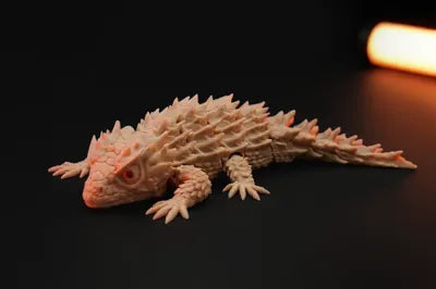 Armadillo Lizard